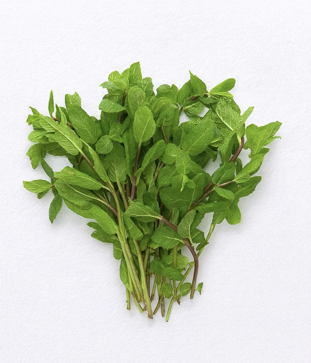 Свежая мята, пучок 