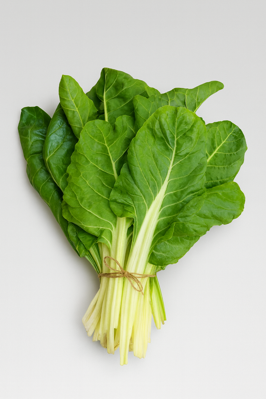 Мангольд белостебельный, пучок 