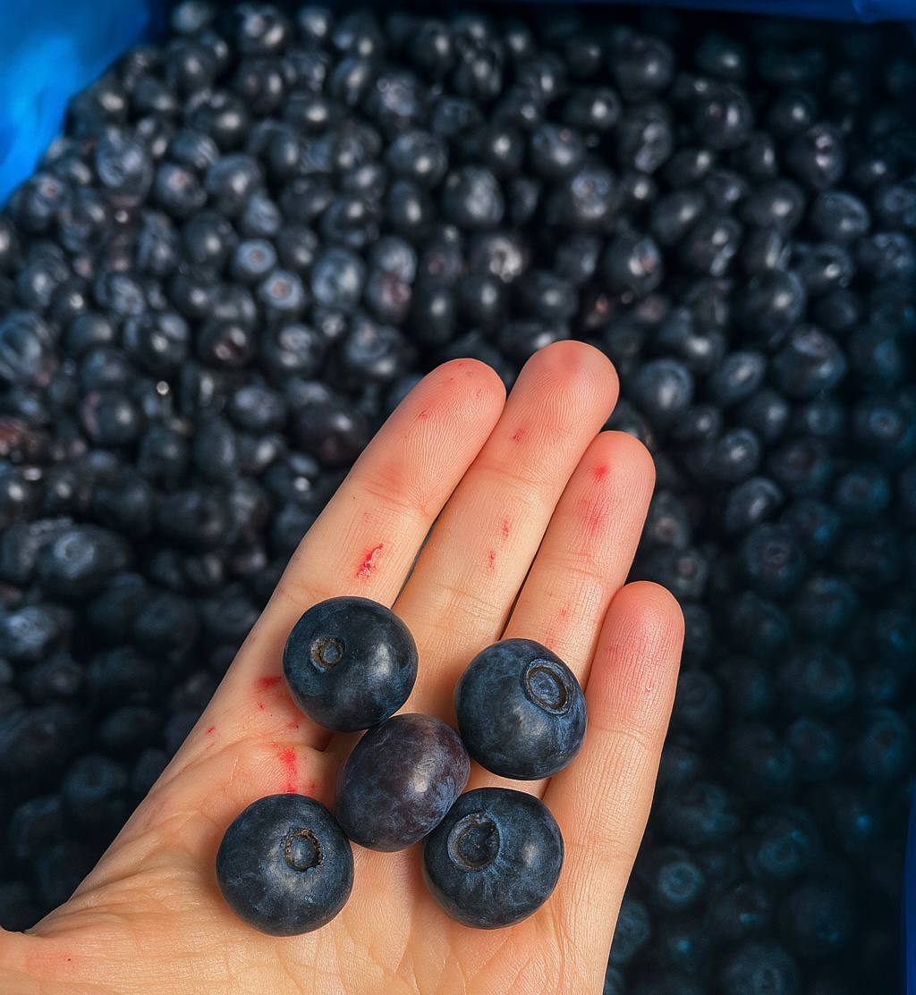 Малина и голубика в тележке!